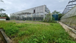 D' Kranji Farm Resort (D24), Land #517424061